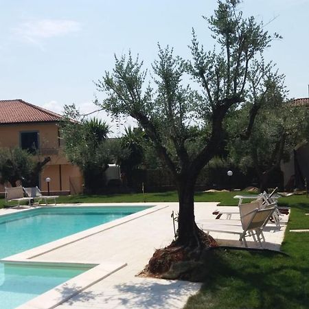 Alloggio Turistico L'Ulivo Monte San Biagio Eksteriør bilde