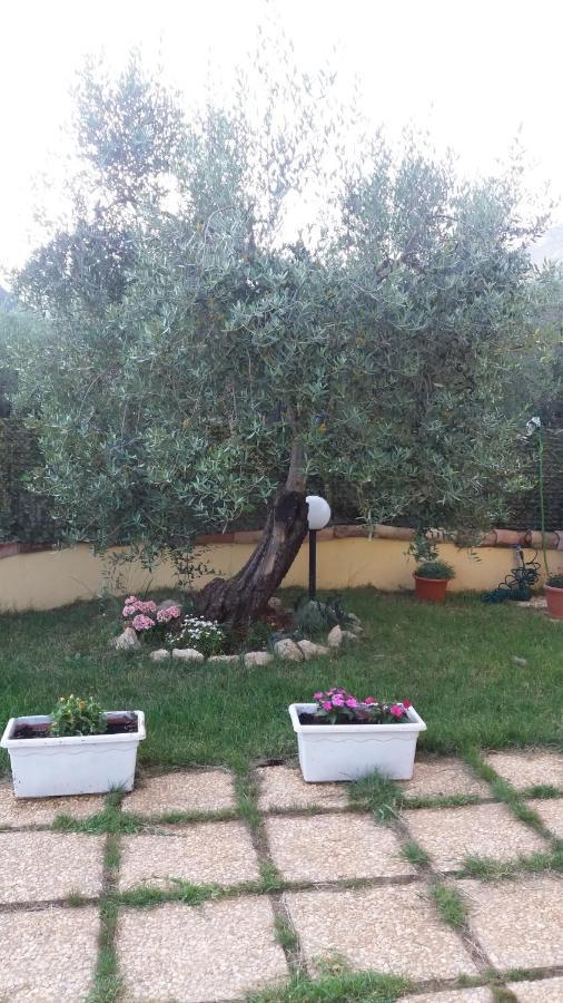 Alloggio Turistico L'Ulivo Monte San Biagio Eksteriør bilde