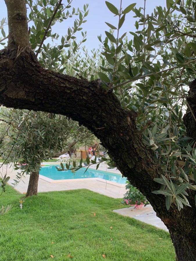 Alloggio Turistico L'Ulivo Monte San Biagio Eksteriør bilde