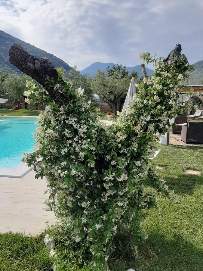 Alloggio Turistico L'Ulivo Monte San Biagio Eksteriør bilde