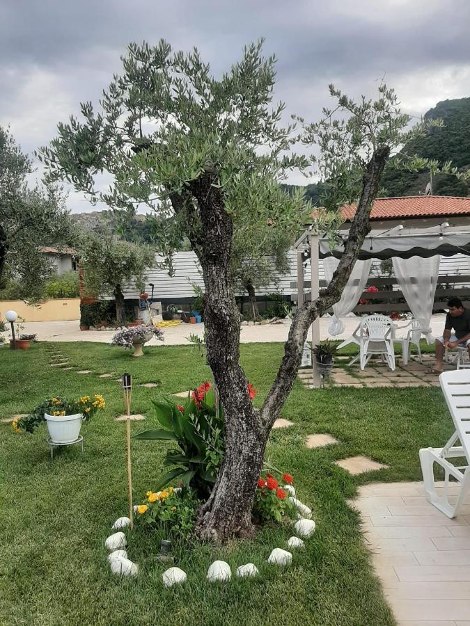 Alloggio Turistico L'Ulivo Monte San Biagio Eksteriør bilde