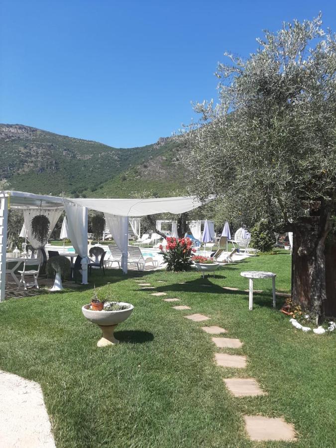 Alloggio Turistico L'Ulivo Monte San Biagio Eksteriør bilde